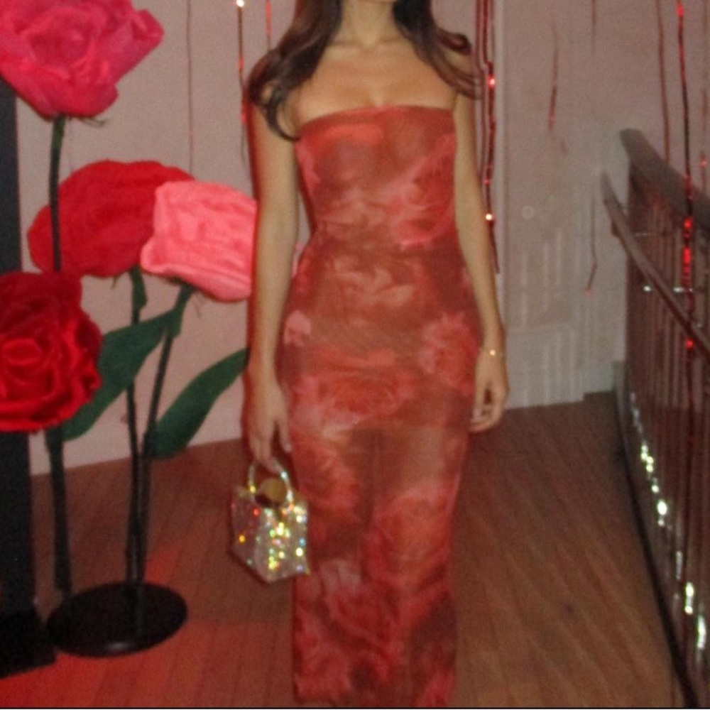 Meshki Strapless Red Floral Maxi Dress